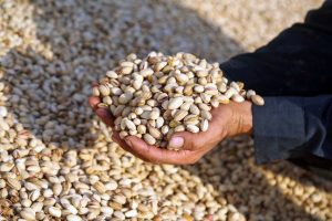 صادرات ۲۵ محصول کشاورزی ایران به دنیا
