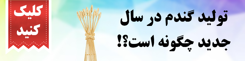 برنامه تولید گندم